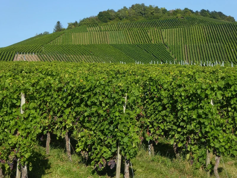 2 Jobs in Fellbach