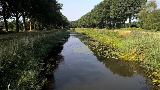Nordhorn